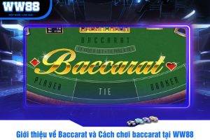 Giới thiệu về Baccarat và Cách chơi baccarat tại WW88