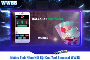 Những Tính Năng Nổi Bật Của Tool Baccarat WW88