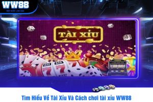 Tìm Hiểu Về Tài Xỉu Và Cách chơi tài xỉu WW88