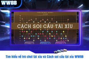 Tìm hiểu về trò chơi tài xỉu và Cách soi cầu tài xỉu WW88